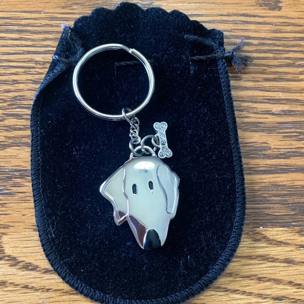 Stainless Steel Doggy Bling Bone Keychain